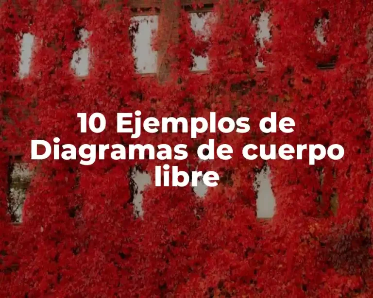 10 Ejemplos de Diagramas de cuerpo libre