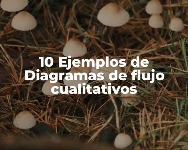 10 Ejemplos de Diagramas de flujo cualitativos