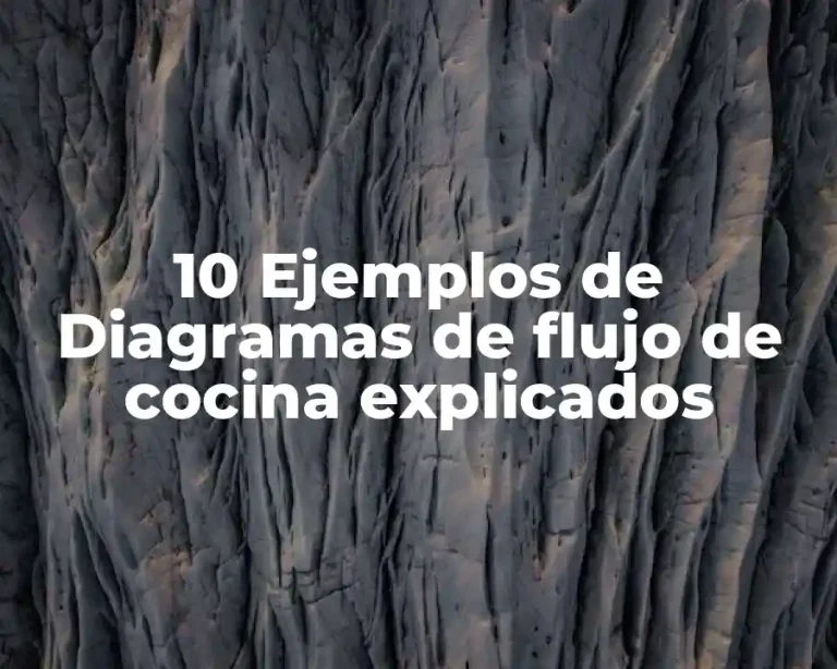 10 Ejemplos de Diagramas de flujo de cocina explicados