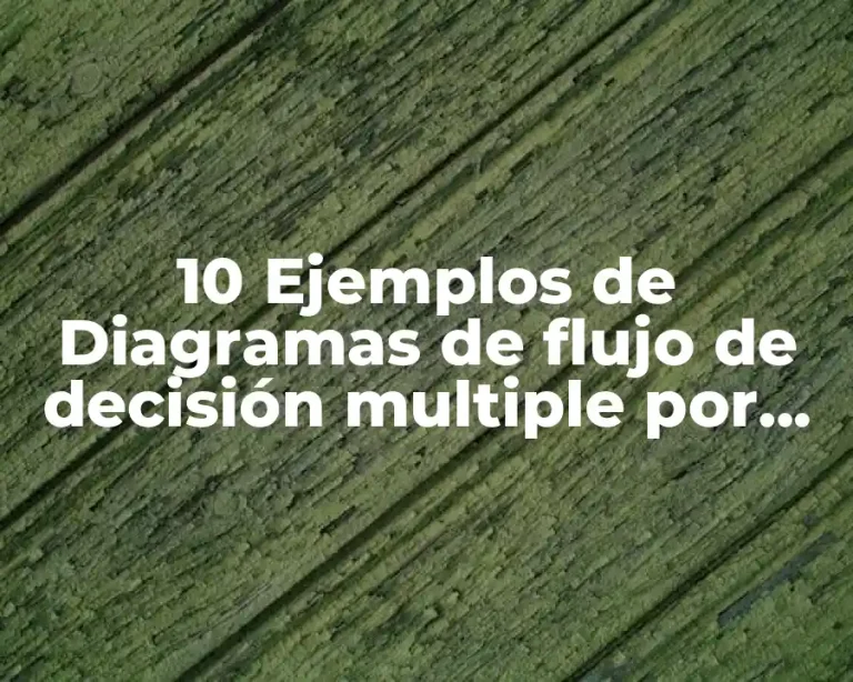 10 Ejemplos de Diagramas de flujo de decisión multiple por casos
