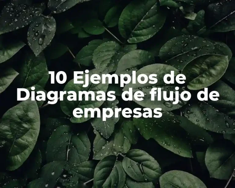 10 Ejemplos de Diagramas de flujo de empresas