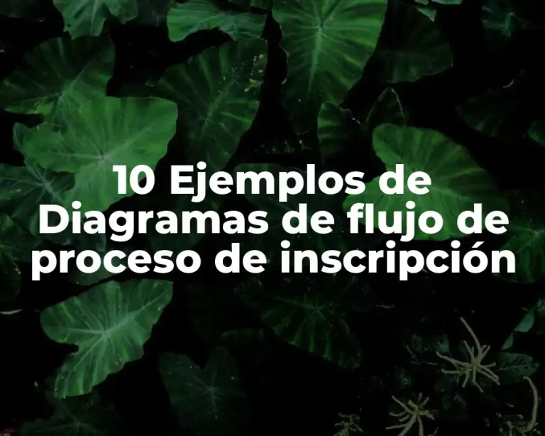10 Ejemplos de Diagramas de flujo de proceso de inscripción