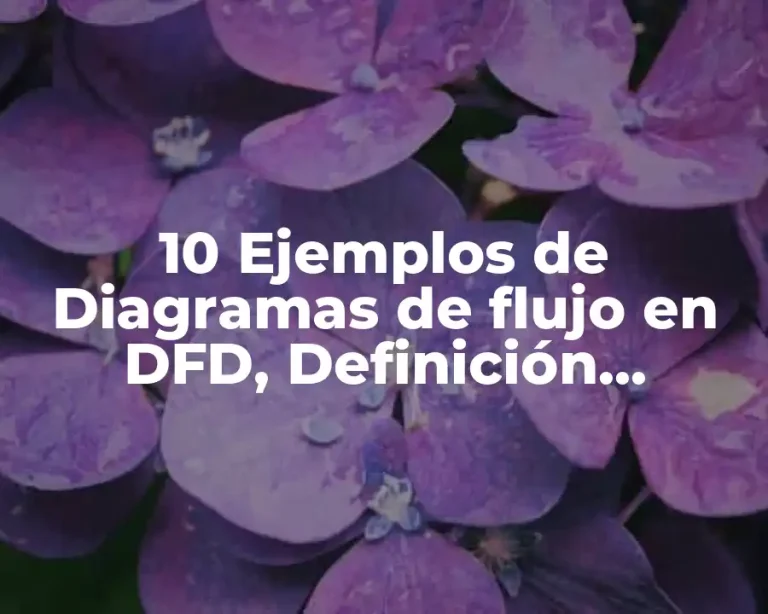 10 Ejemplos de Diagramas de flujo en DFD, Definición, Diferencias y para que sirve