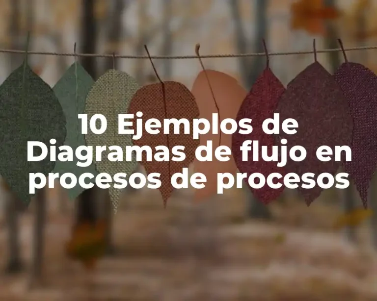 10 Ejemplos de Diagramas de flujo en procesos de procesos