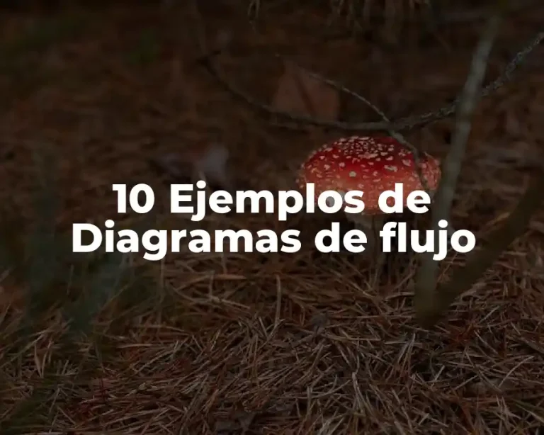 10 Ejemplos de Diagramas de flujo