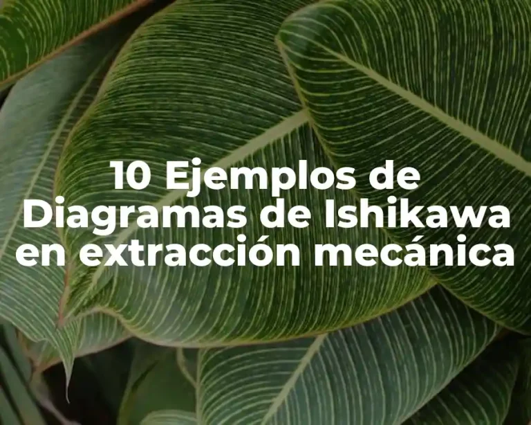 10 Ejemplos de Diagramas de Ishikawa en extracción mecánica