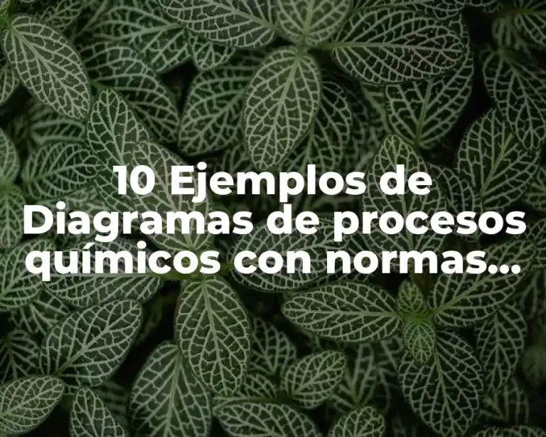 10 Ejemplos de Diagramas de procesos químicos con normas de dibujo