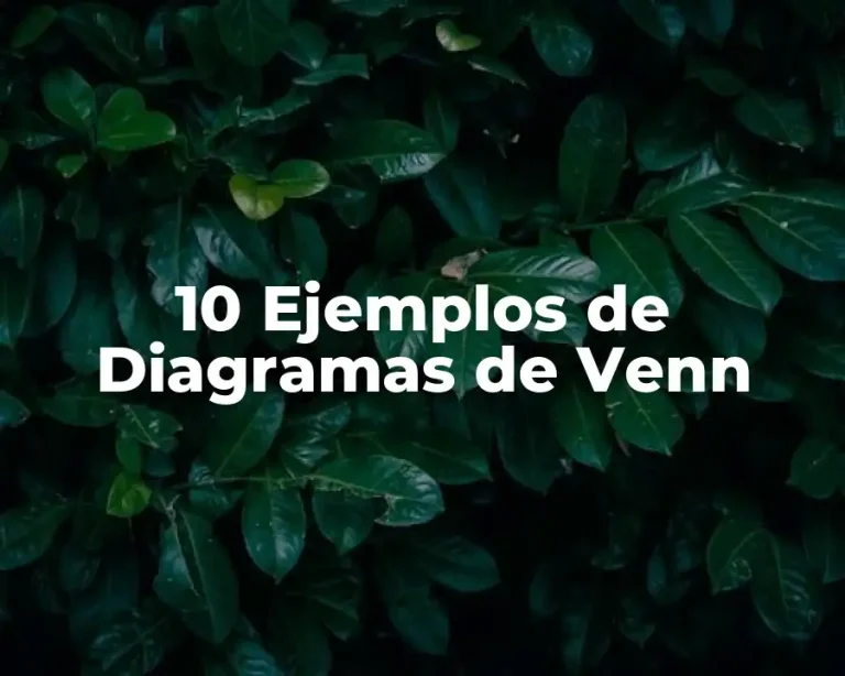 10 Ejemplos de Diagramas de Venn