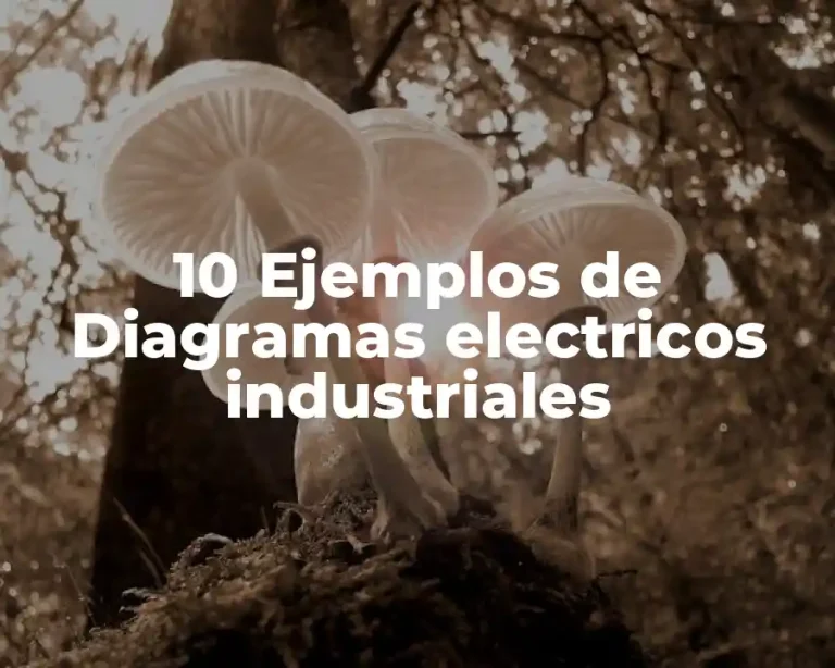 10 Ejemplos de Diagramas electricos industriales