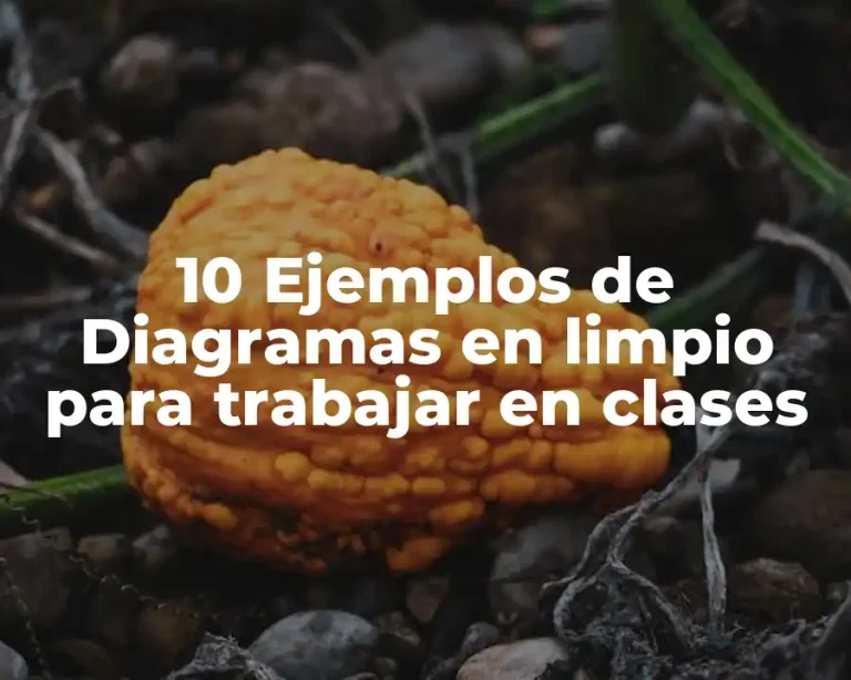 10 Ejemplos de Diagramas en limpio para trabajar en clases