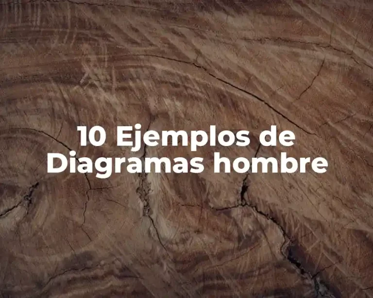 10 Ejemplos de Diagramas hombre