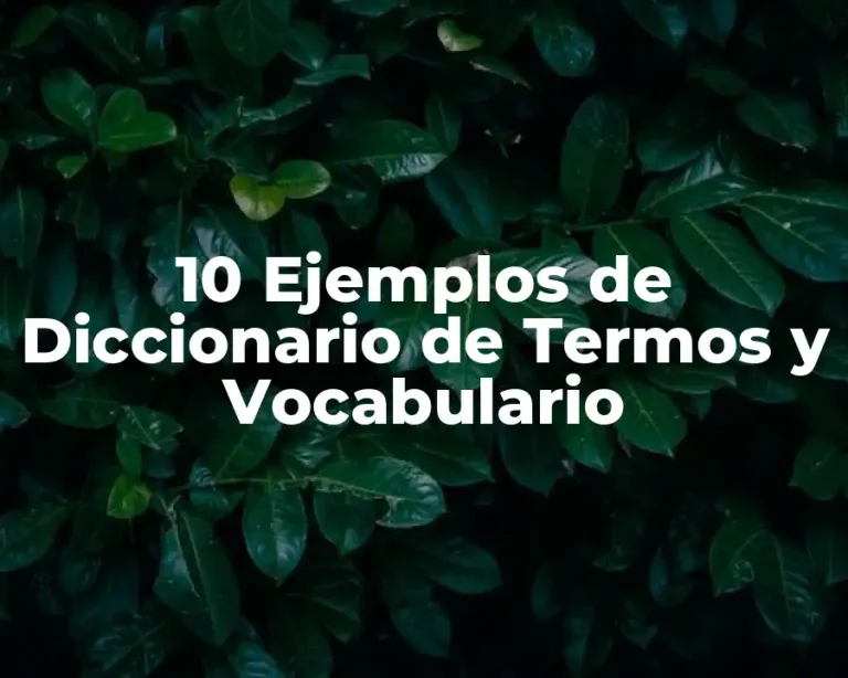 10 Ejemplos de Diccionario de Termos y Vocabulario