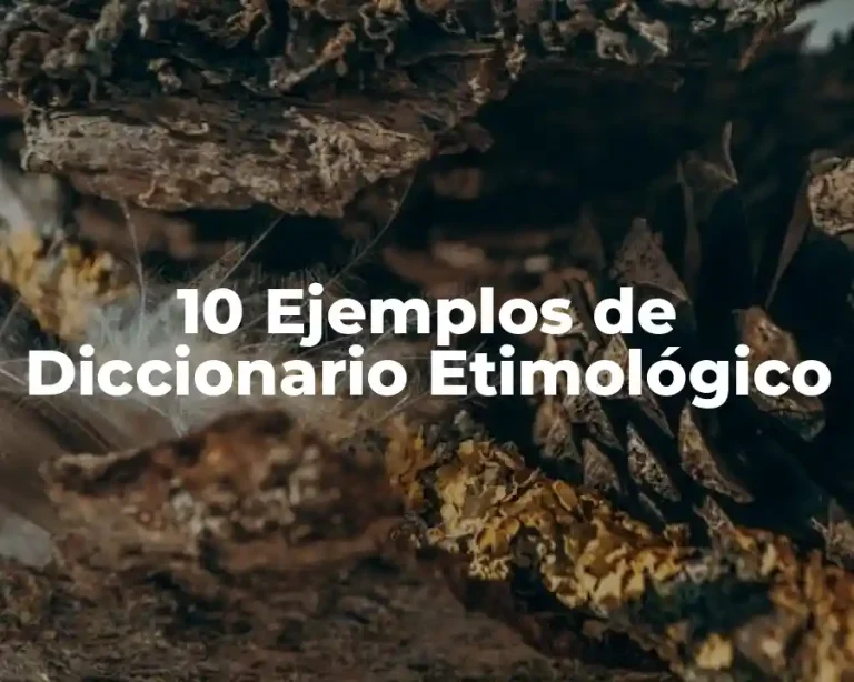 10 Ejemplos de Diccionario Etimológico