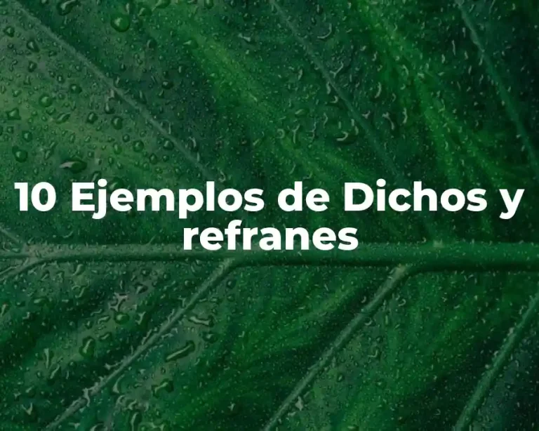 10 Ejemplos de Dichos y refranes