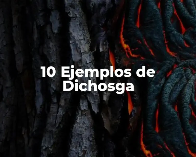 10 Ejemplos de Dichosga