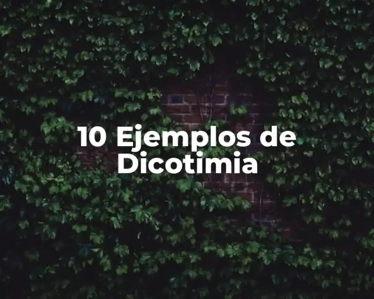 10 Ejemplos de Dicotimia