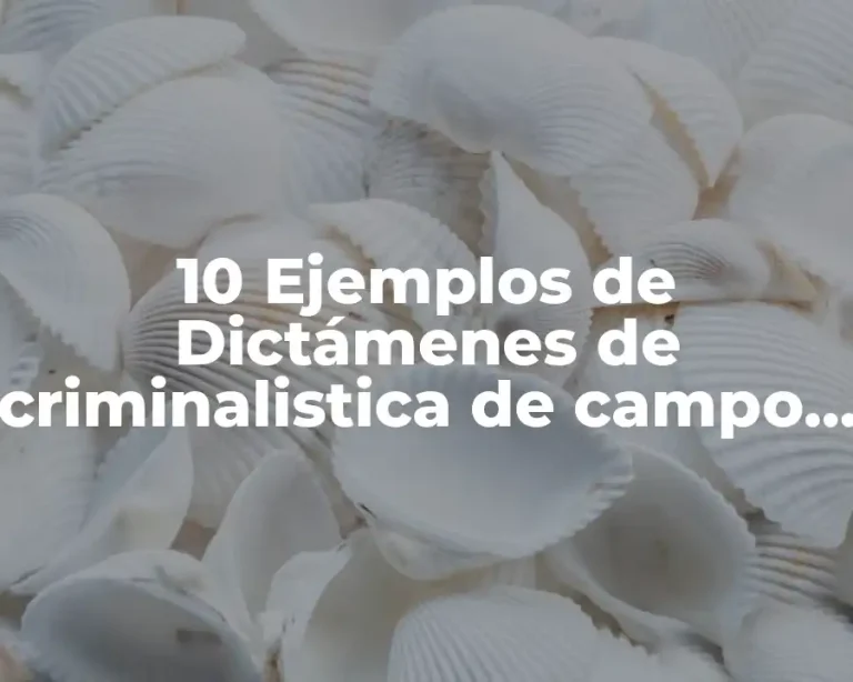 10 Ejemplos de Dictámenes de criminalistica de campo homicidio
