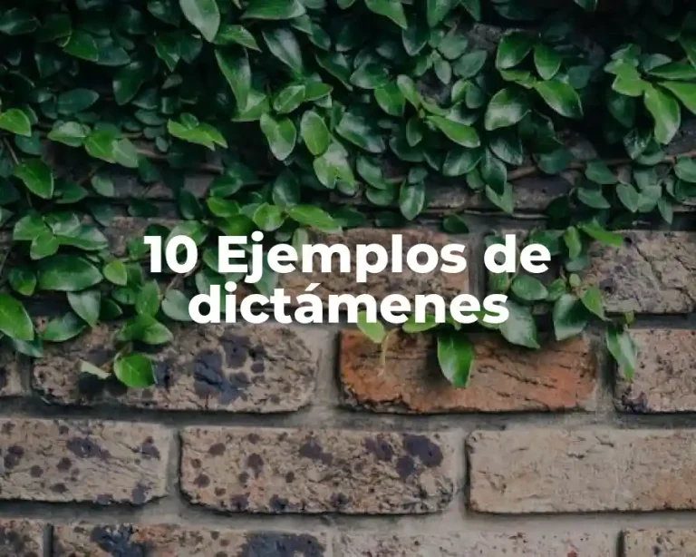 10 Ejemplos de dictámenes