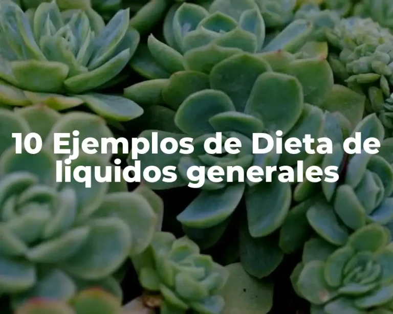 10 Ejemplos de Dieta de liquidos generales