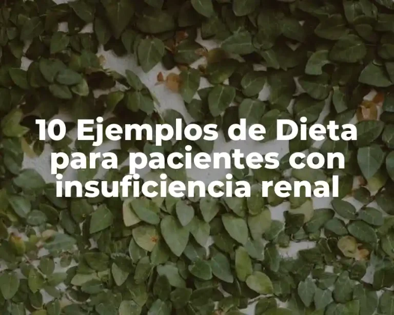10 Ejemplos de Dieta para pacientes con insuficiencia renal