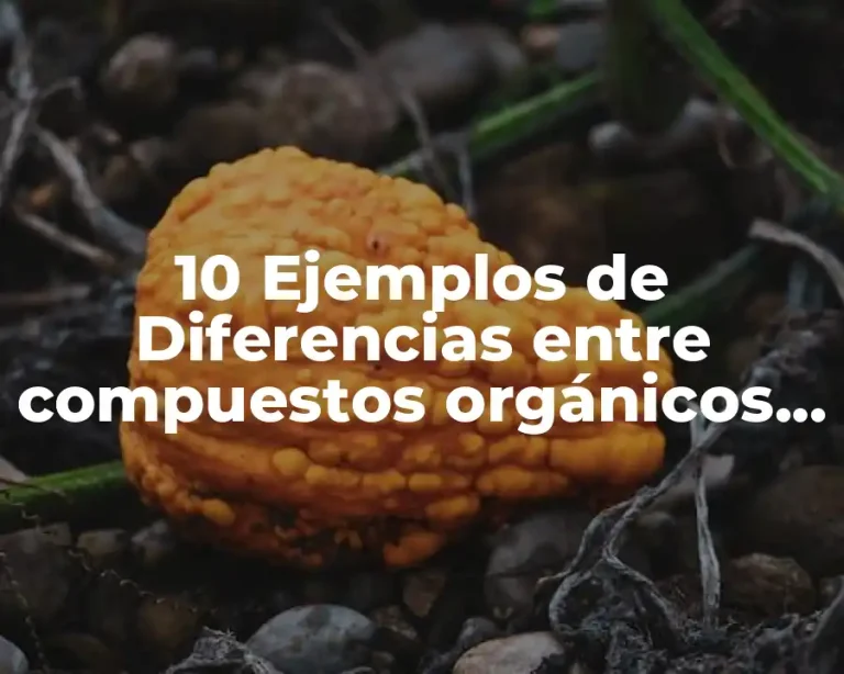 10 Ejemplos de Diferencias entre compuestos orgánicos e inorganicos