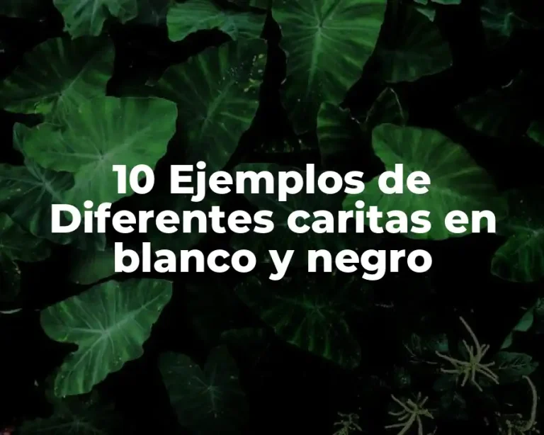 10 Ejemplos de Diferentes caritas en blanco y negro