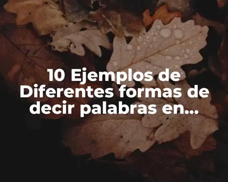 10 Ejemplos de Diferentes formas de decir palabras en diferentes países