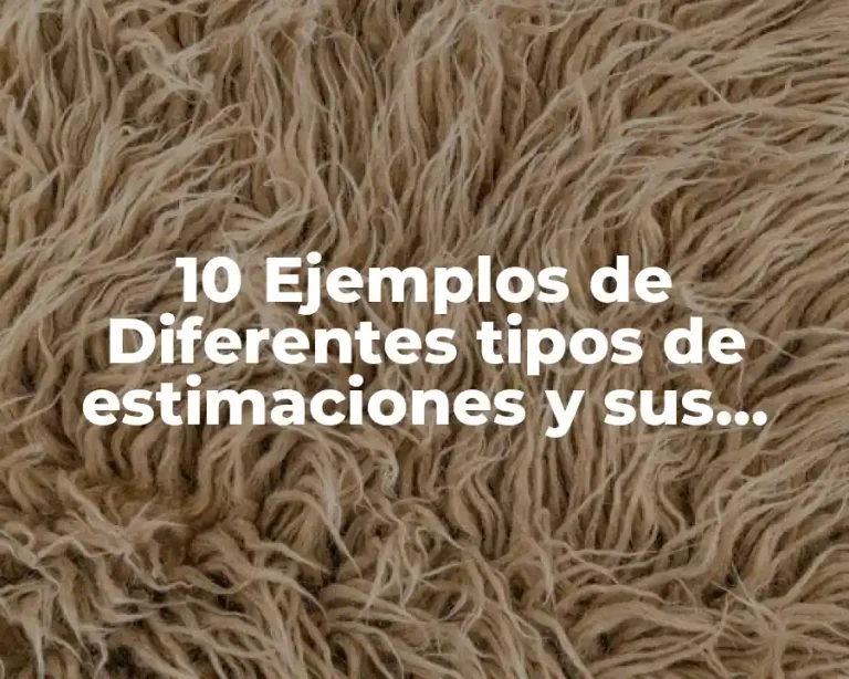 10 Ejemplos de Diferentes tipos de estimaciones y sus aplicaciones
