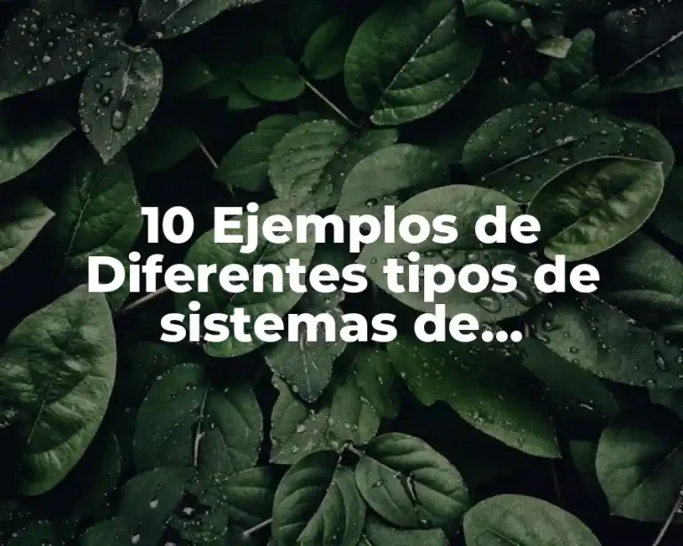 10 Ejemplos de Diferentes tipos de sistemas de organización