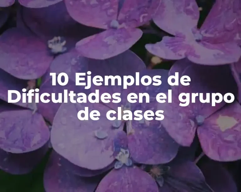 10 Ejemplos de Dificultades en el grupo de clases