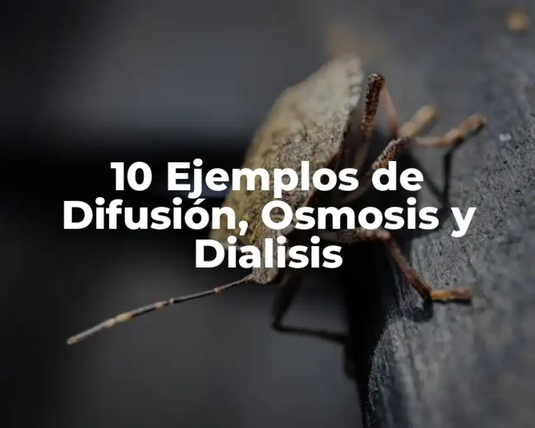 10 Ejemplos de Difusión, Osmosis y Dialisis