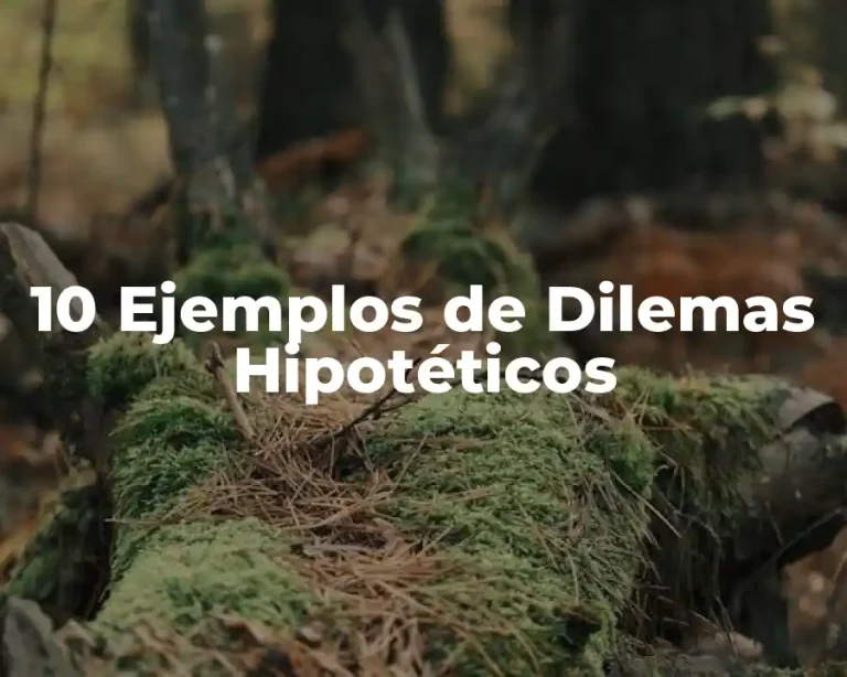 10 Ejemplos de Dilemas Hipotéticos