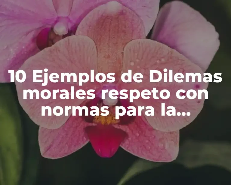 10 Ejemplos de Dilemas morales respeto con normas para la convivencia