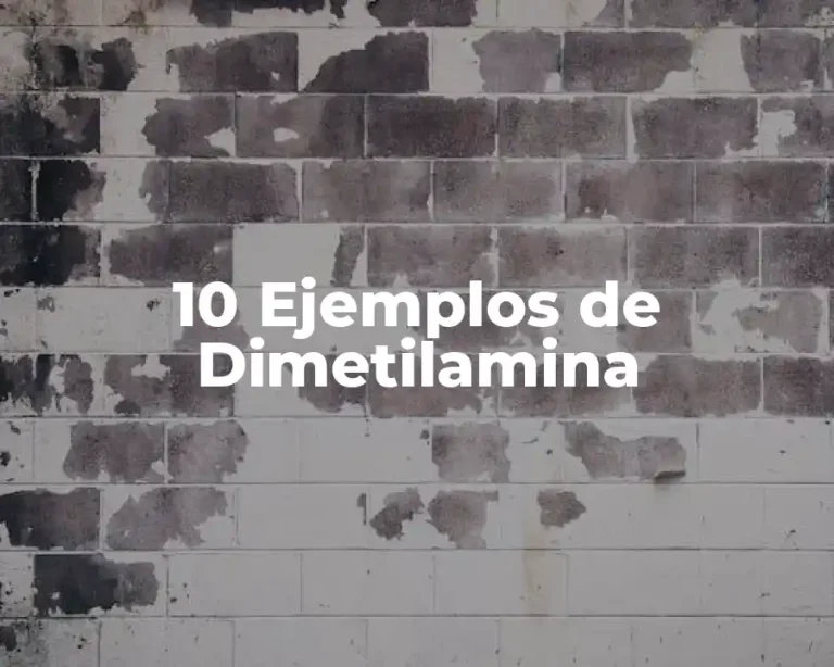 10 Ejemplos de Dimetilamina