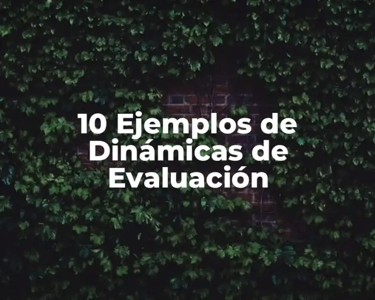 10 Ejemplos de Dinámicas de Evaluación