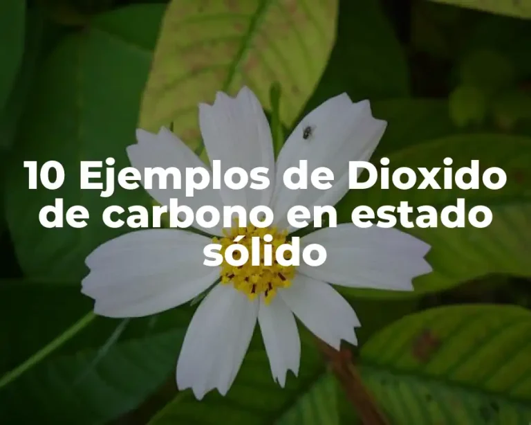 10 Ejemplos de Dioxido de carbono en estado sólido