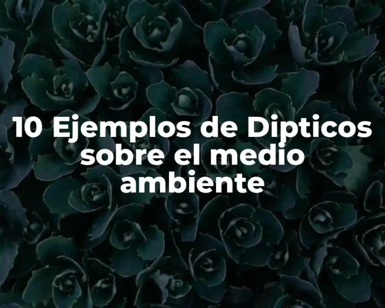 10 Ejemplos de Dipticos sobre el medio ambiente