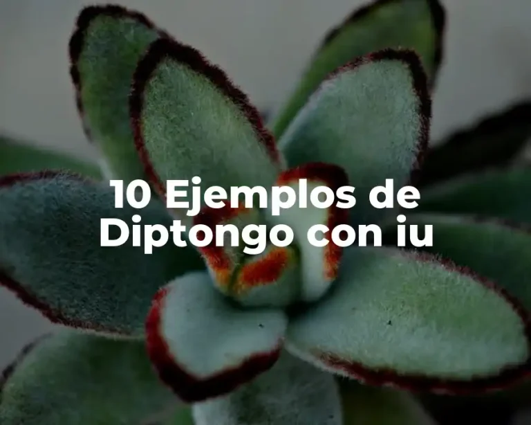 10 Ejemplos de Diptongo con iu