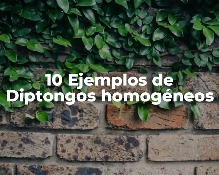 10 Ejemplos de Diptongos homogéneos