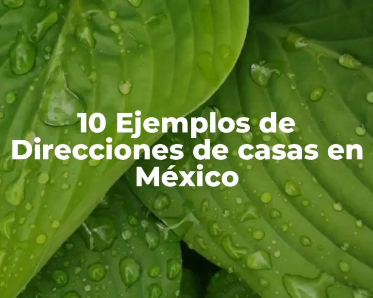 10 Ejemplos de Direcciones de casas en México
