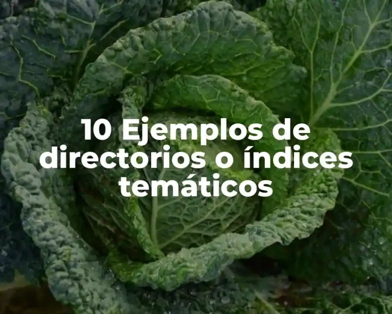 10 Ejemplos de directorios o índices temáticos