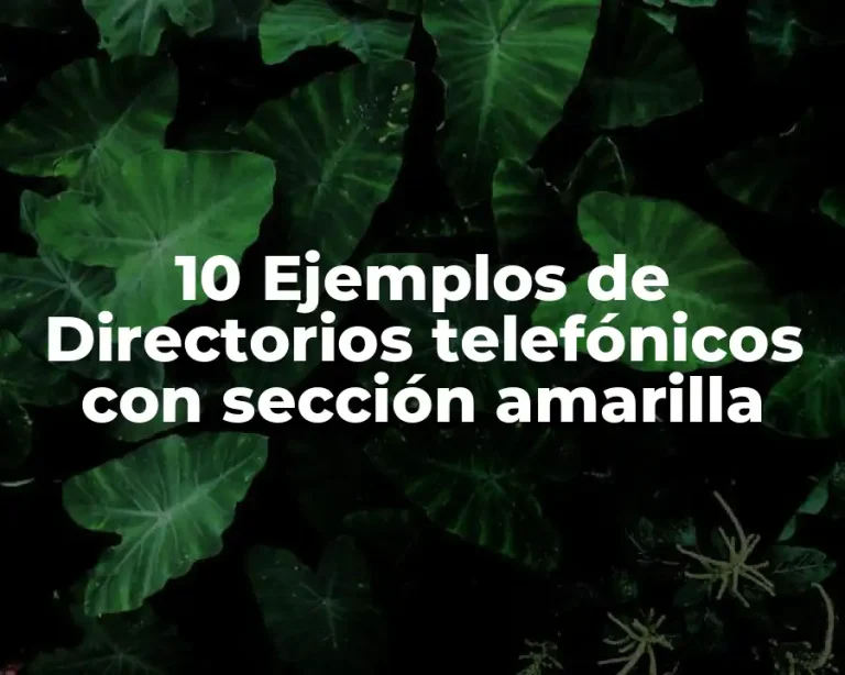 10 Ejemplos de Directorios telefónicos con sección amarilla