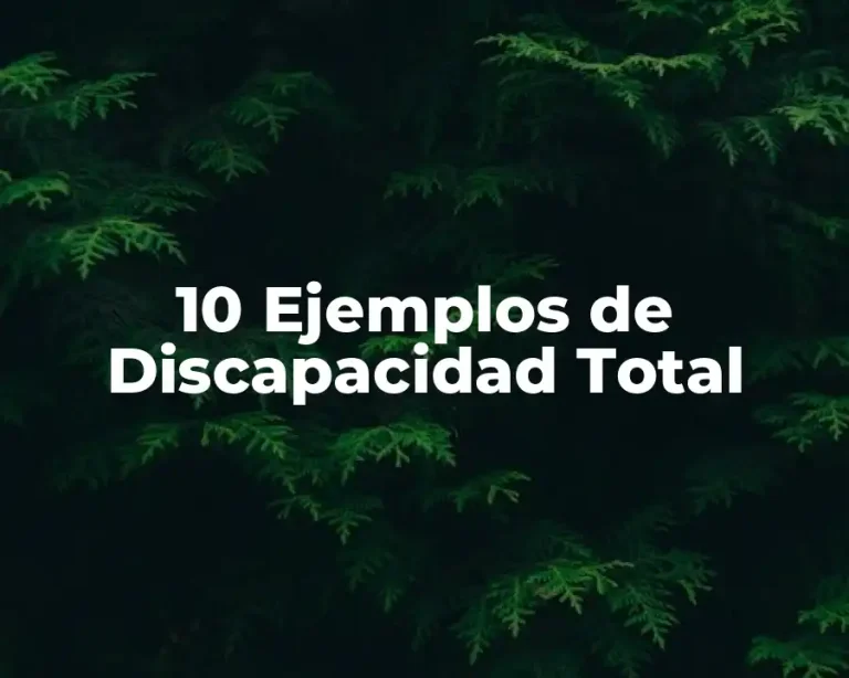 10 Ejemplos de Discapacidad Total