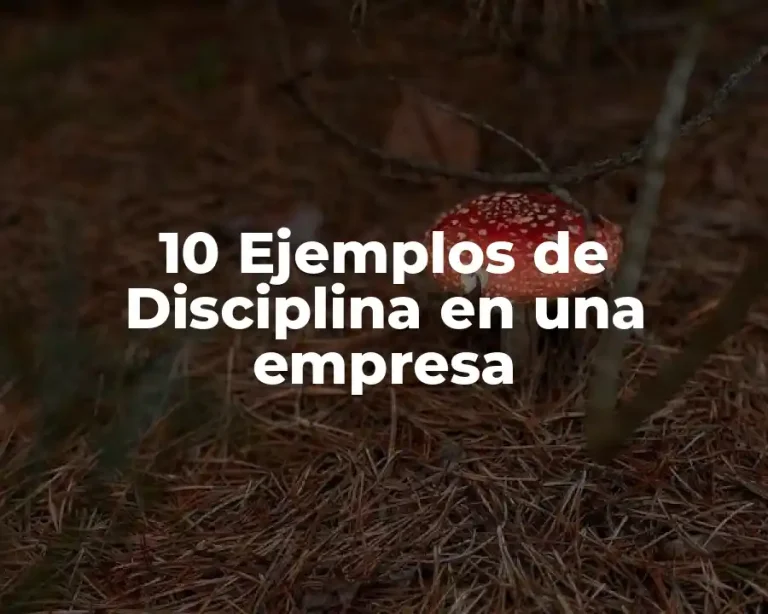 10 Ejemplos de Disciplina en una empresa