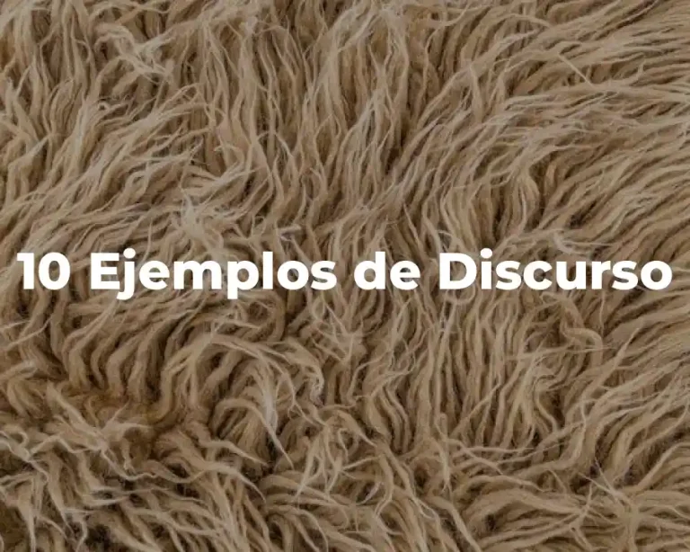 10 Ejemplos de Discurso