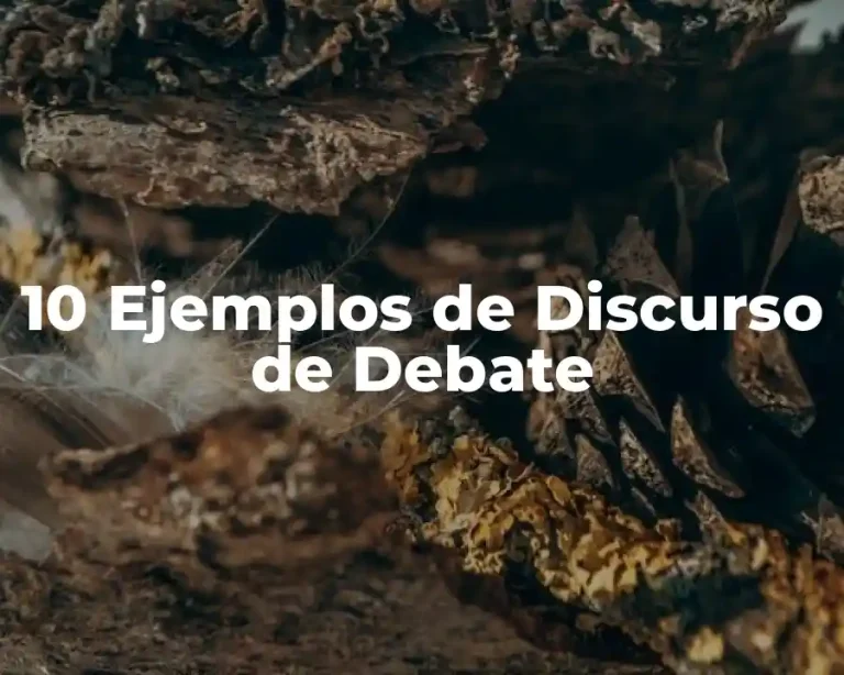 10 Ejemplos de Discurso de Debate