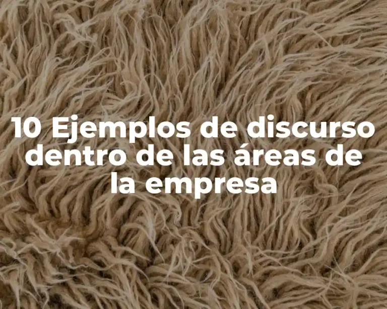 10 Ejemplos de discurso dentro de las áreas de la empresa