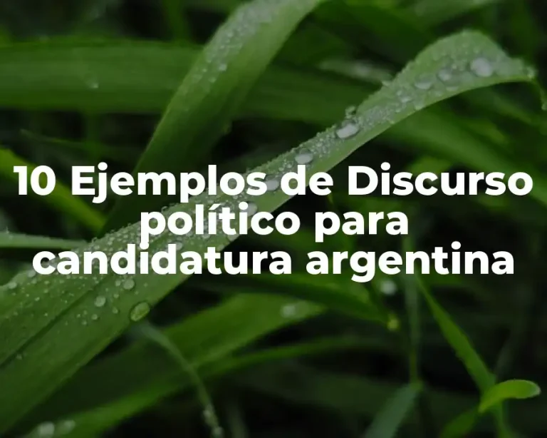 10 Ejemplos de Discurso político para candidatura argentina