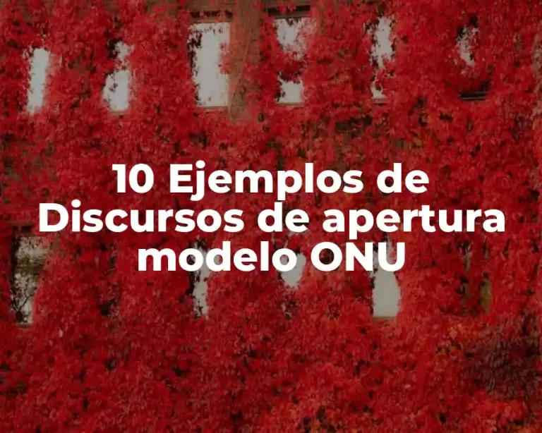 10 Ejemplos de Discursos de apertura modelo ONU