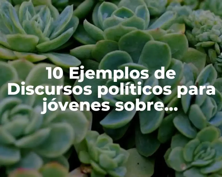 10 Ejemplos de Discursos políticos para jóvenes sobre conciencia política